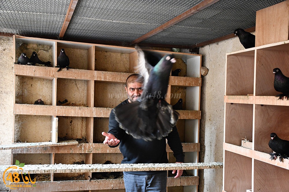 zohdi 3ashoor (2).jpeg